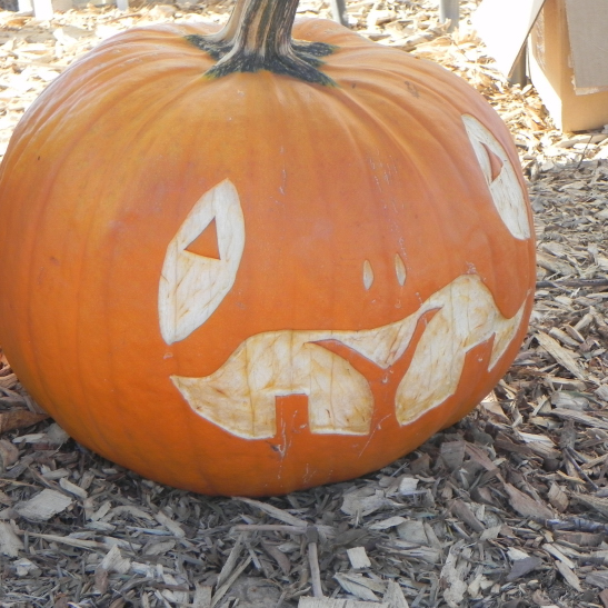 Snake Tounge, Nipomo Pumpkin Patch best carving idea
